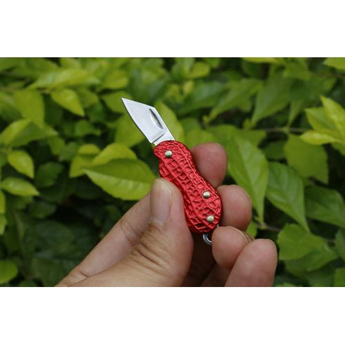Four color small flower growth item sword practice