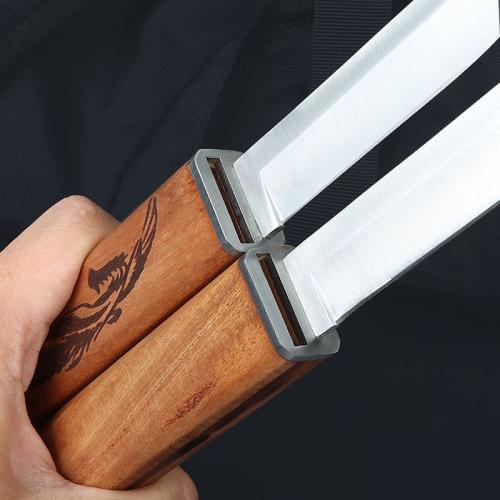 Double Sword Warrior