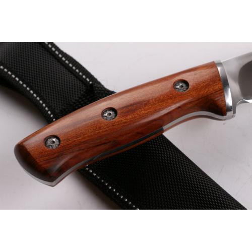 Buck Warrior