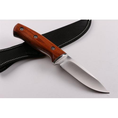 Buck Warrior