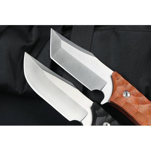 Outdoor JB009 small straight knife (two models)