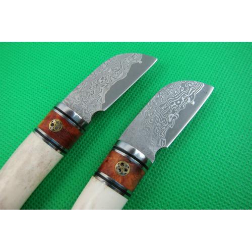 Damascus Deer antler handle tea knife