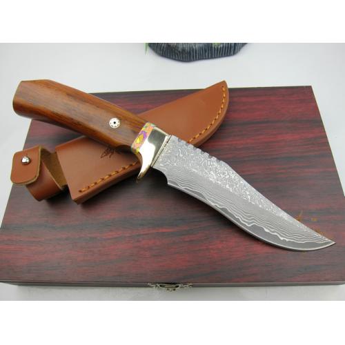 Damascus - Mantis M2 Collector's Knife