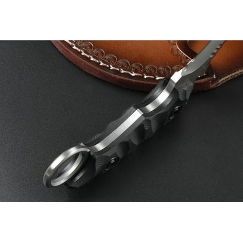 The advancing one Violent Police Dragon Teeth Claw (Sha Guang Edition)