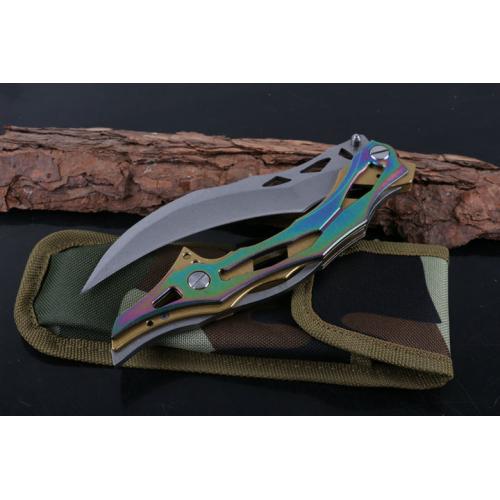 Colorful titanium version of pterosaur