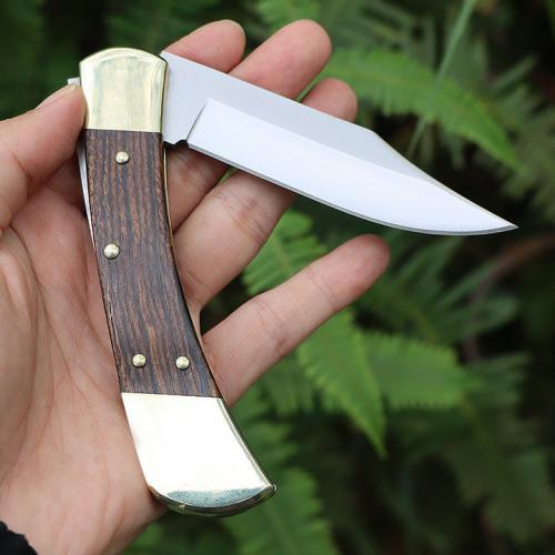 Buck 110 folding knife (back lock)