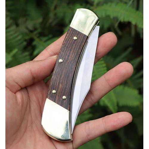 Buck 110 folding knife (back lock)