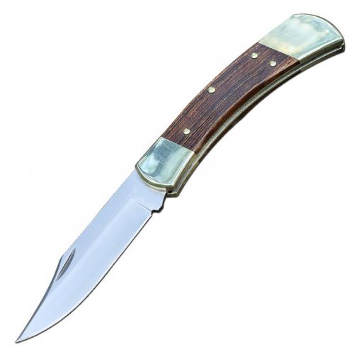 Buck 110 folding knife (back lock)