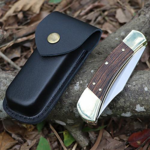 Buck 110 folding knife (back lock)