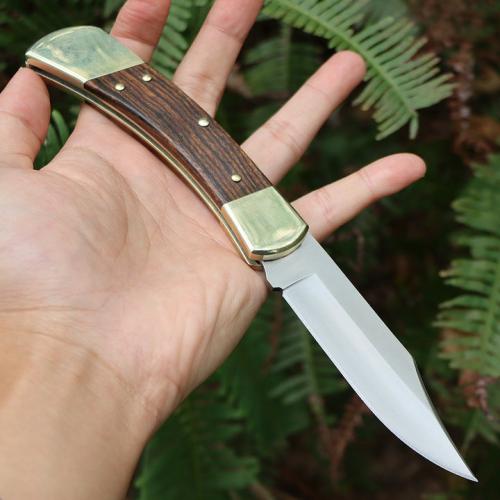 Buck 110 folding knife (back lock)