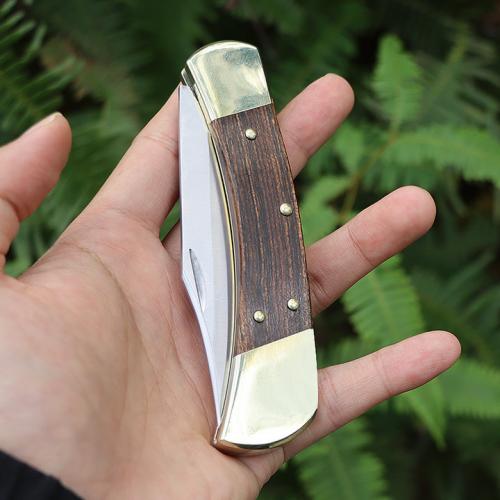 Buck 110 folding knife (back lock)