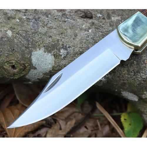 Buck 110 folding knife (back lock)