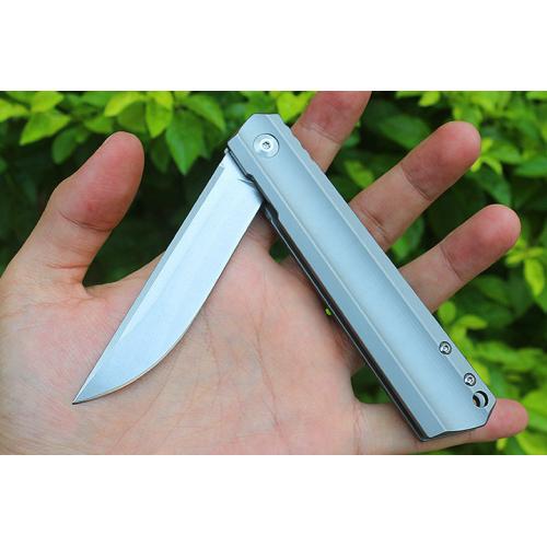 Poison Wolf Titanium Handle Quick Opening Folding Knife (D2)