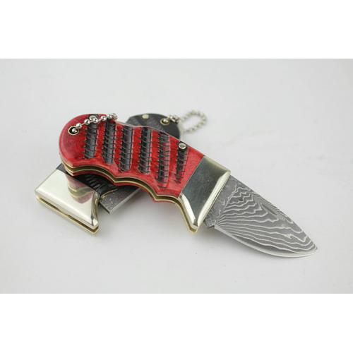 Damascus QQ Little Wild Boar