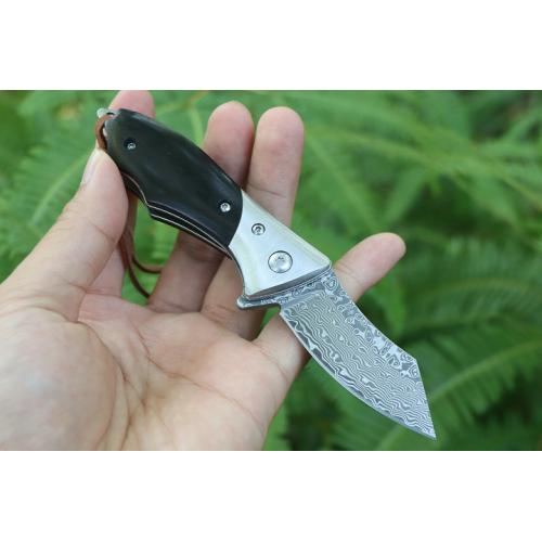 Battle Bird (Damascus)