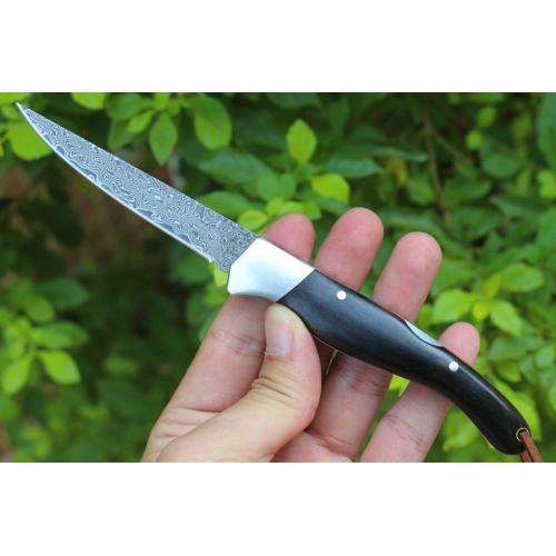Little Black Leaf (Damascus)