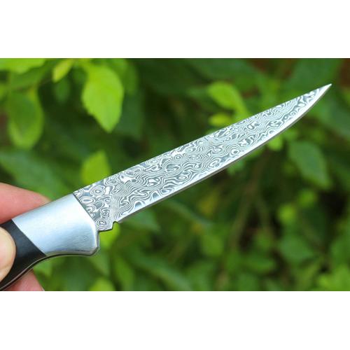 Little Black Leaf (Damascus)