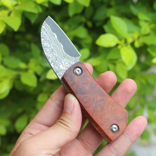 Red Shadow Armored Damascus Knife (Limited Edition)