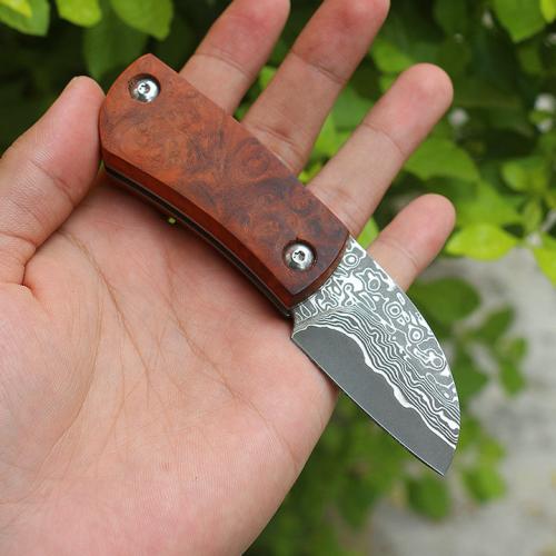 Red Shadow Armored Damascus Knife (Limited Edition)