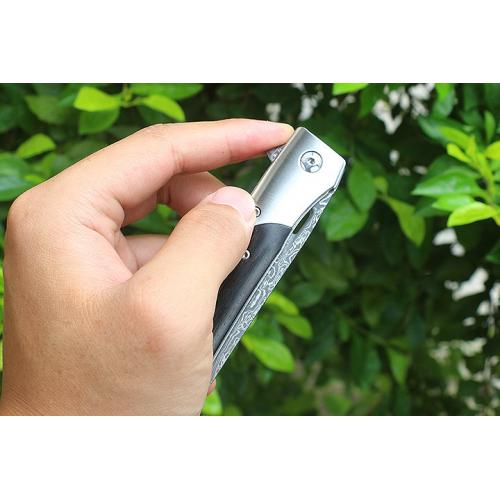 Cheetah (white steel head) with leather case