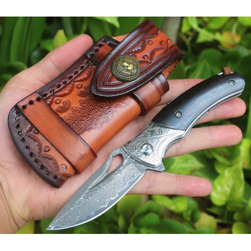 Eagle Eye Damascus Steel Bearing Quick Open
