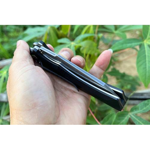 Free Wolf Big Folding Knife (Damascus Steel) (1)