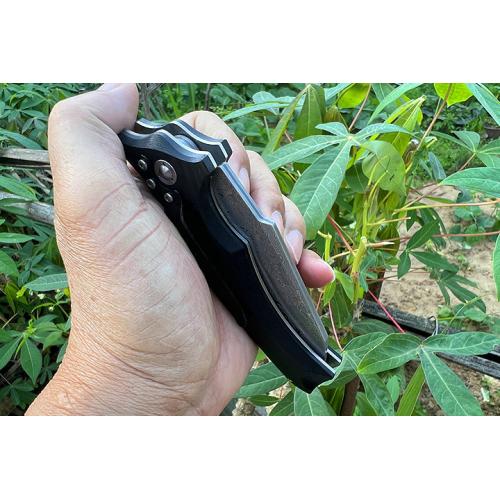 Free Wolf Big Folding Knife (Damascus Steel) (1)