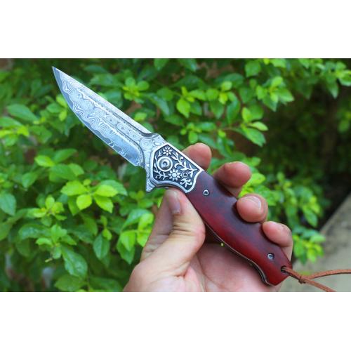 Free Wolf Double Line Big Horse Quick Open Folding Knife