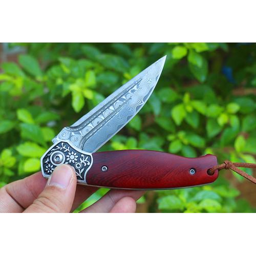 Free Wolf Double Line Big Horse Quick Open Folding Knife