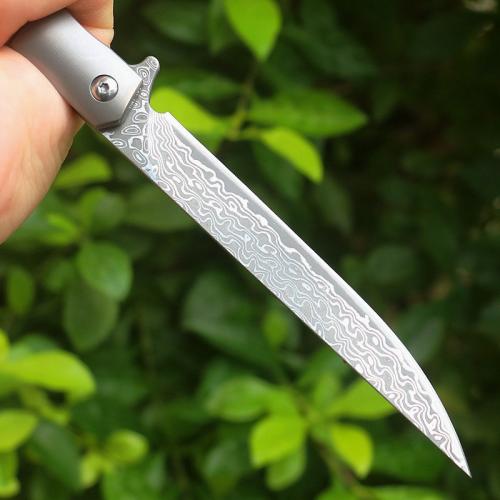 New divine pen titanium handle folding knife (Damascus two models)