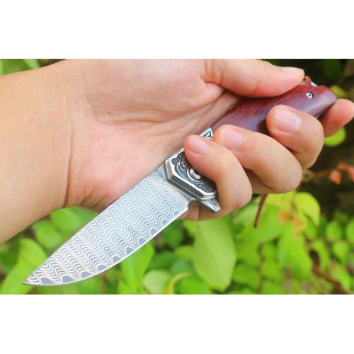 Free Wolf Wave Pattern Quick Opening Folding Knife (Damascus Steel)
